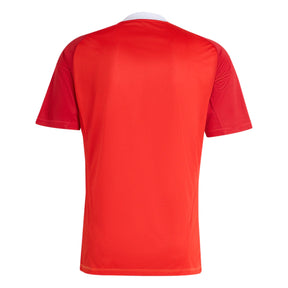 Camisa Flamengo Comemorativa 2025 Men