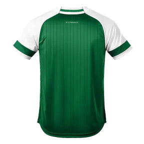 Camisa Palmeiras 2025 Baseball Verde